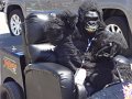 Nascar 2013 125